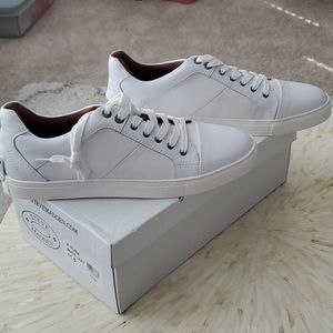 Never Worn Steve Madden Yuba Sneakers 